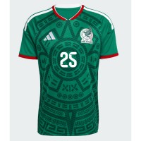 Meksiko Roberto Alvarado #25 Kotipaita MM-kisat 2026 Lyhythihainen